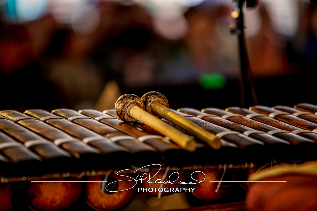 Richmond Folk Festival – 2014 – Sunday #163315