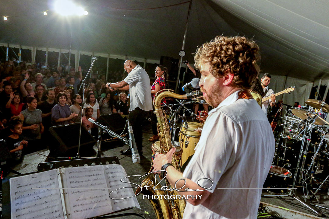 Richmond Folk Festival – 2015 #189556