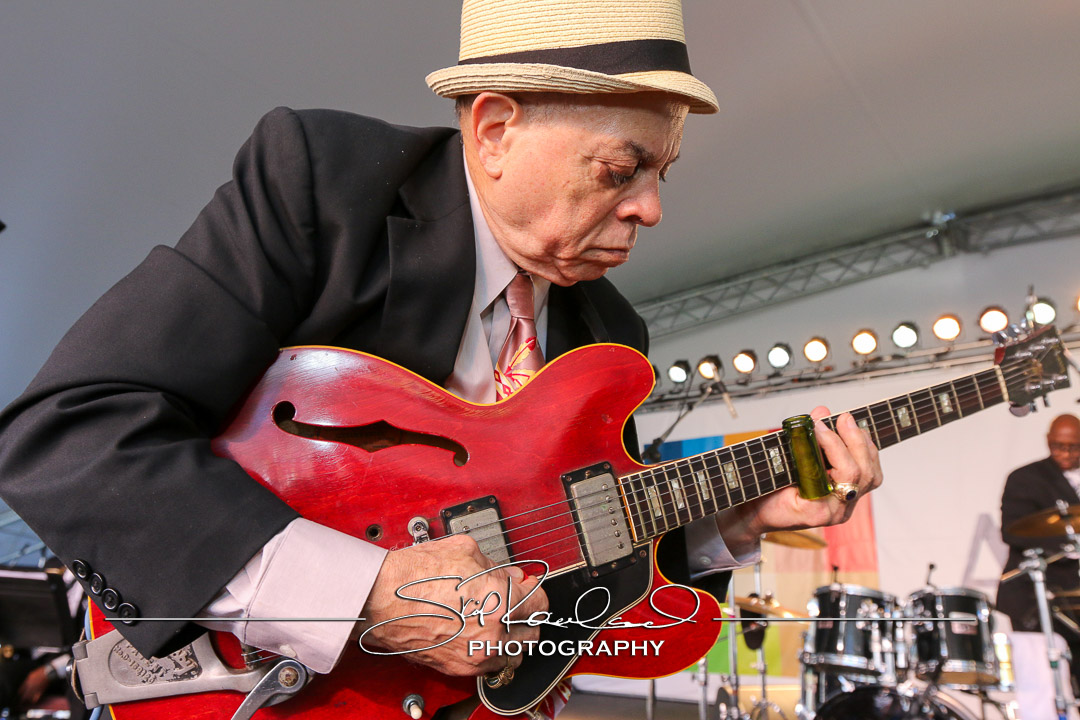 Richmond Folk Festival – 2015 #189762