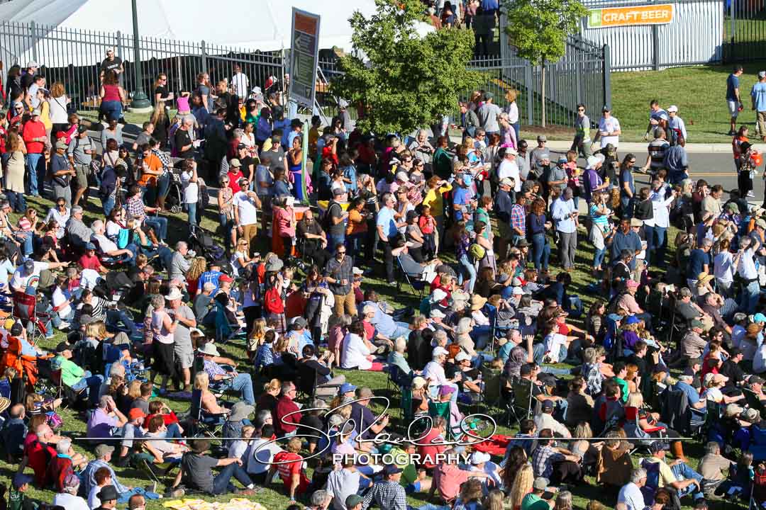 Richmond Folk Festival – 2015 #189767