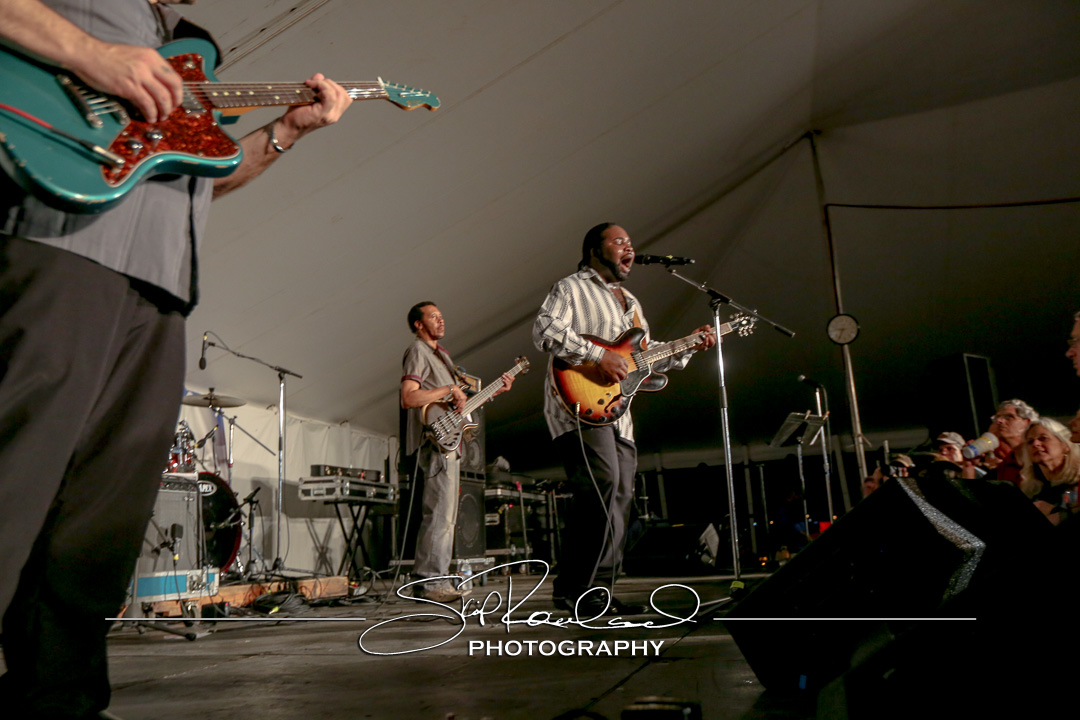 Richmond Folk Festival – 2016 – Friday #160102