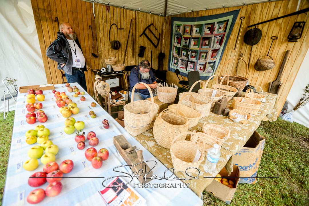 Richmond Folk Festival – 2016 – Saturday #160243