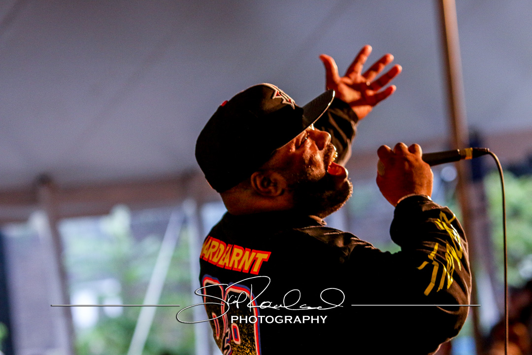 Richmond Folk Festival – 2016 – Saturday #160385