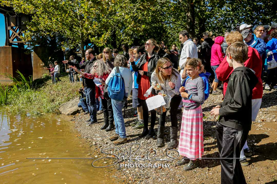 Richmond Folk Festival – 2016 – Sunday #160600