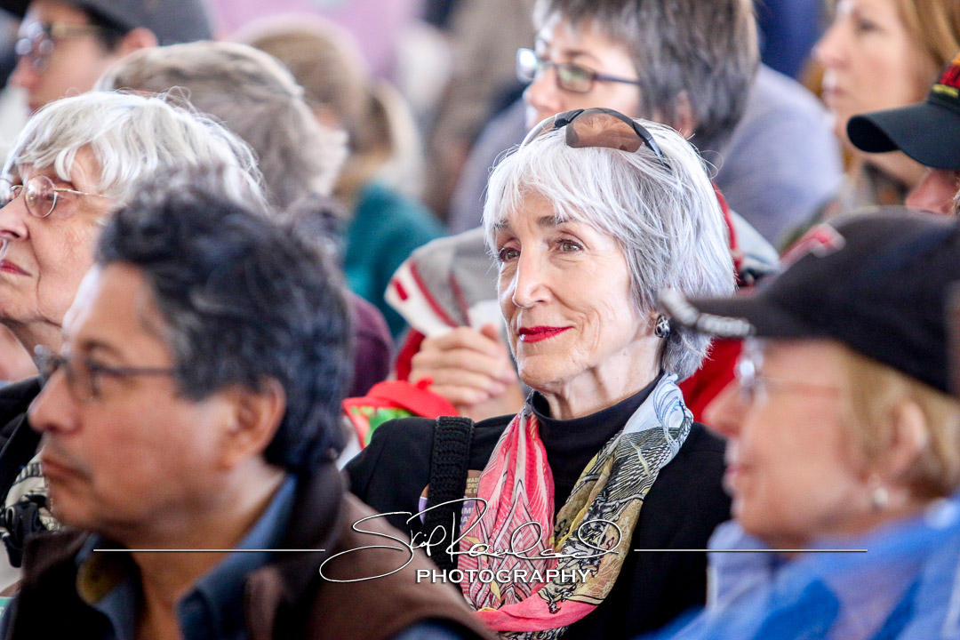 Richmond Folk Festival – 2016 – Sunday #160632