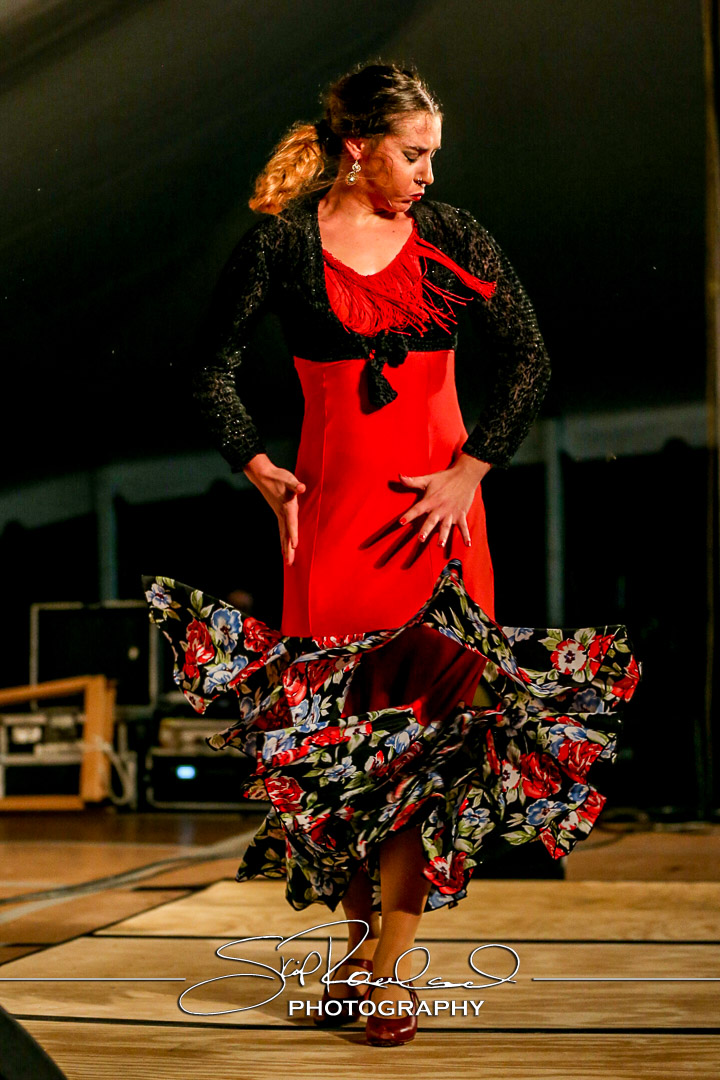 Richmond Folk Festival – 2017 – Saturday #161448