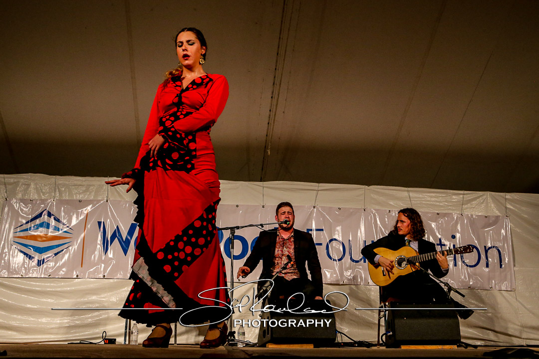 Richmond Folk Festival – 2017 – Saturday #161451