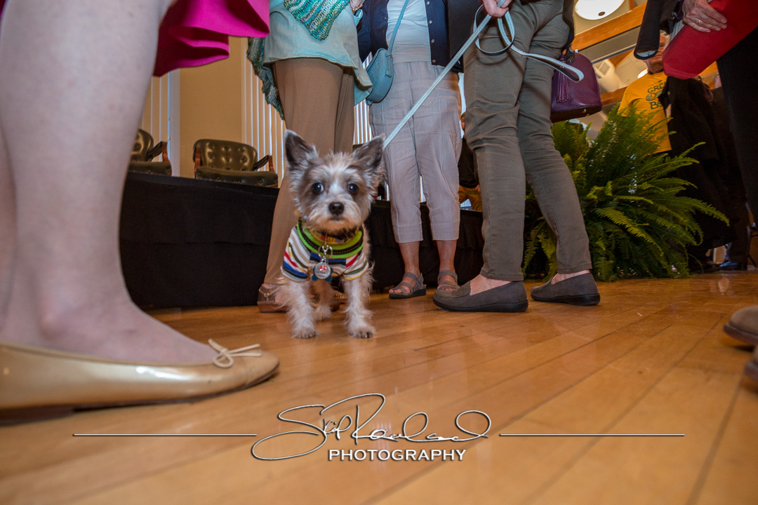 Class Of 68 Luncheon – 2018 #108847