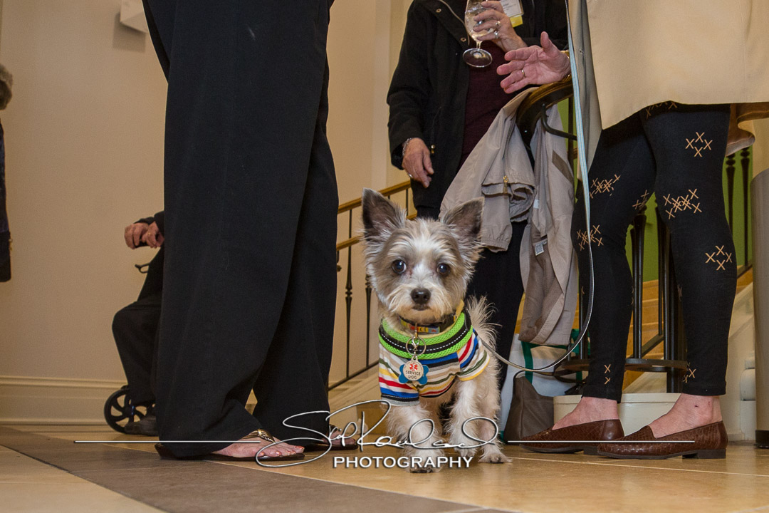 Traditions Weekend Dinner Dance – 2018 #108972