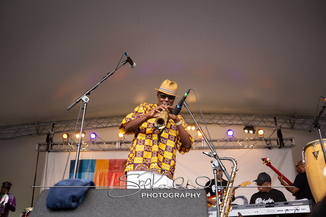 Richmond Folk Festival – 2019 #165479