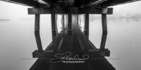 Foggy Morning on Collington Island – February 2020 #37879