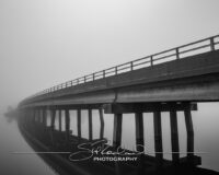 Foggy Morning on Collington Island – February 2020 #37880