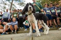 Bee And Goody 5k – April 2022 #40821