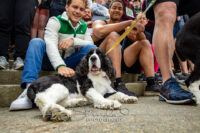 Bee And Goody 5k – April 2022 #40822