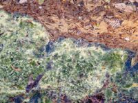 Crim Dell Surface Art – April 2022 #41132