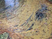 Crim Dell Surface Art – April 2022 #41135