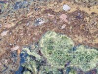 Crim Dell Surface Art – April 2022 #41142