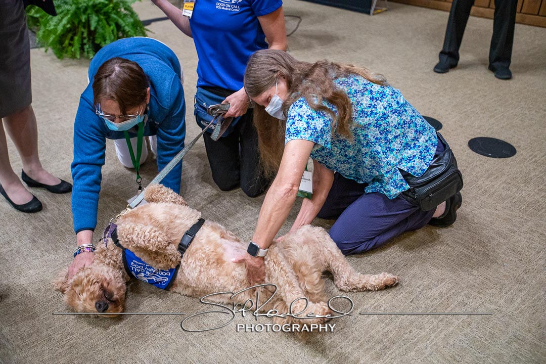 Mini Med School At Mec – April 2022 #58265