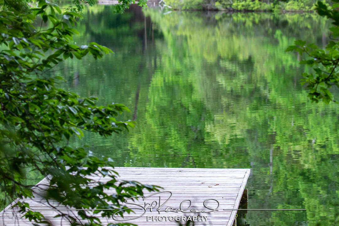 Tripp And Maren Get Engaged – May 2022 #70271