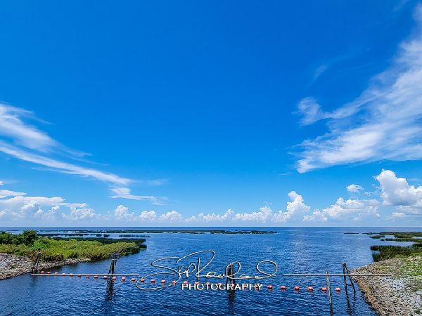 Lake Okeechobee – June 2022 #78381