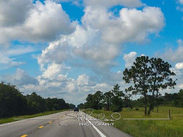 Okeechobee County – June 2022 #78366