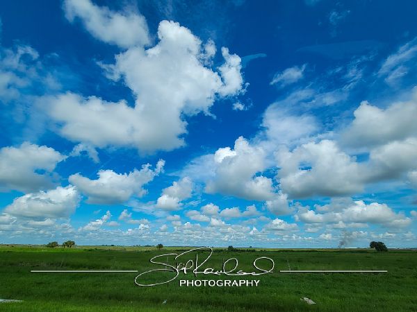 Okeechobee County – June 2022 #78367