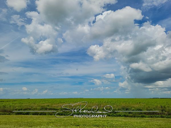 Okeechobee County – June 2022 #78368