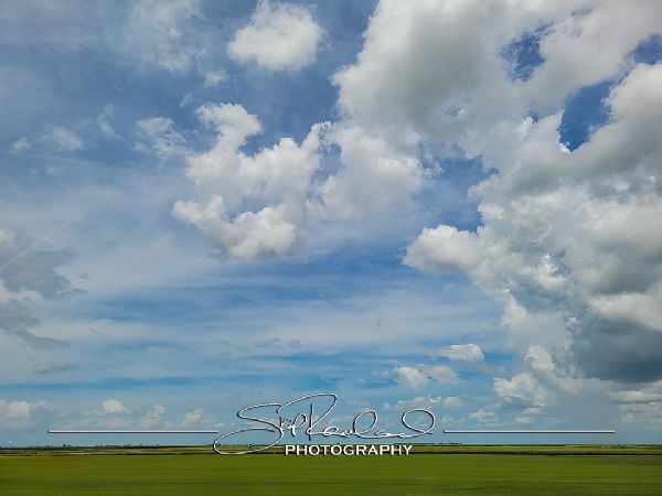 Okeechobee County – June 2022 #78369