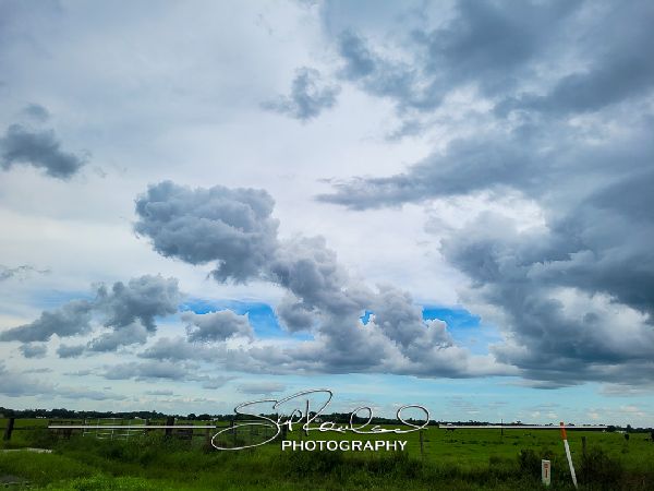 Okeechobee County – June 2022 #78370