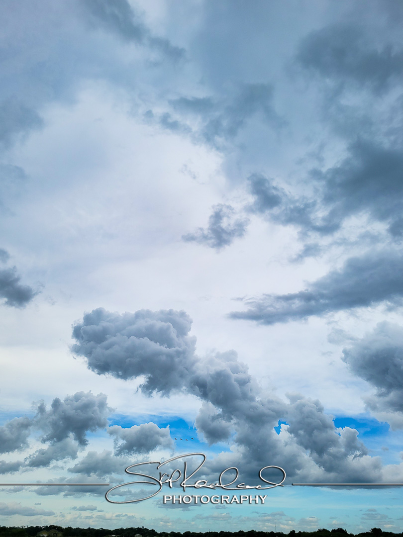 Okeechobee County – June 2022 #78371