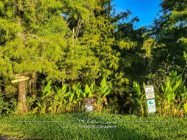 Clyde Butchers Big Cypress – July 2022 #78297