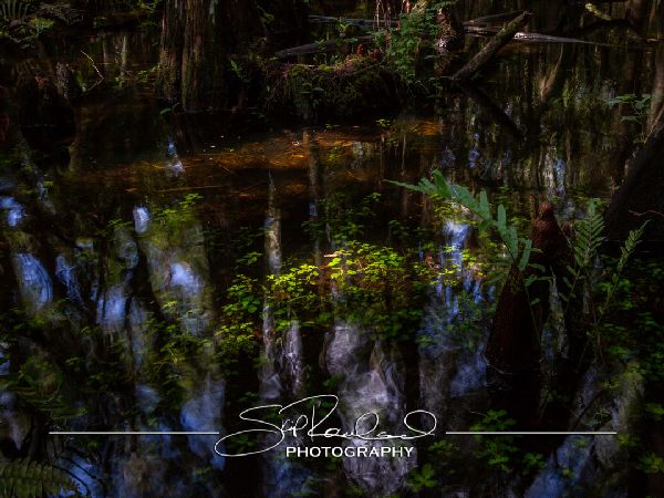 Clyde Butchers Big Cypress – July 2022 #78323
