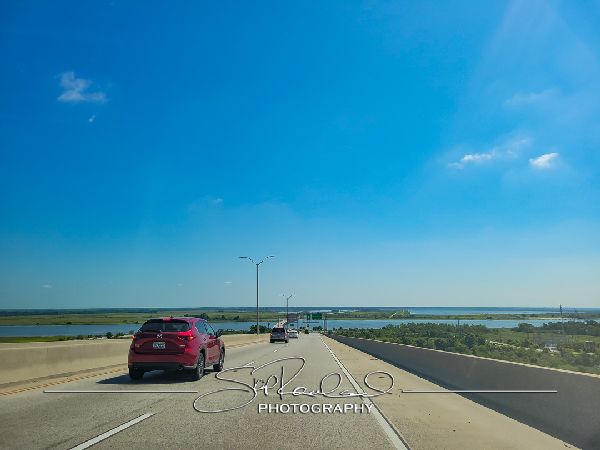 Talmadge Memorial Bridge Savannah – July 2022 #78294