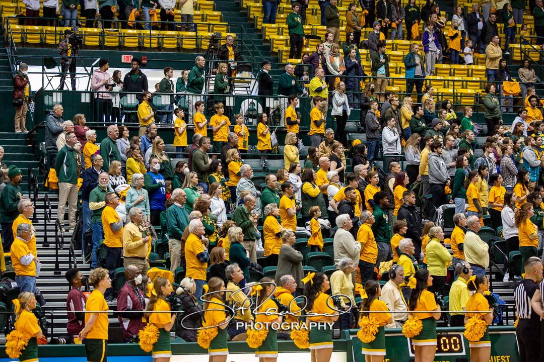 MBB Gold Rush – 2023 #115027