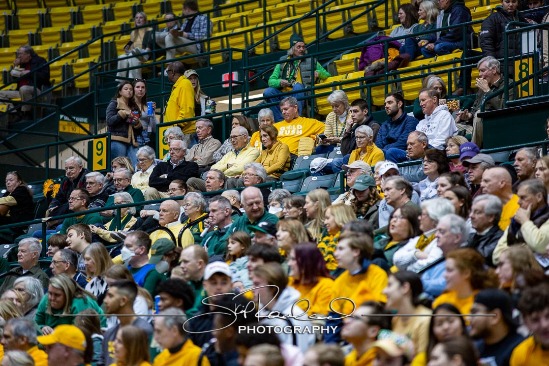 MBB Gold Rush – 2023 #115045