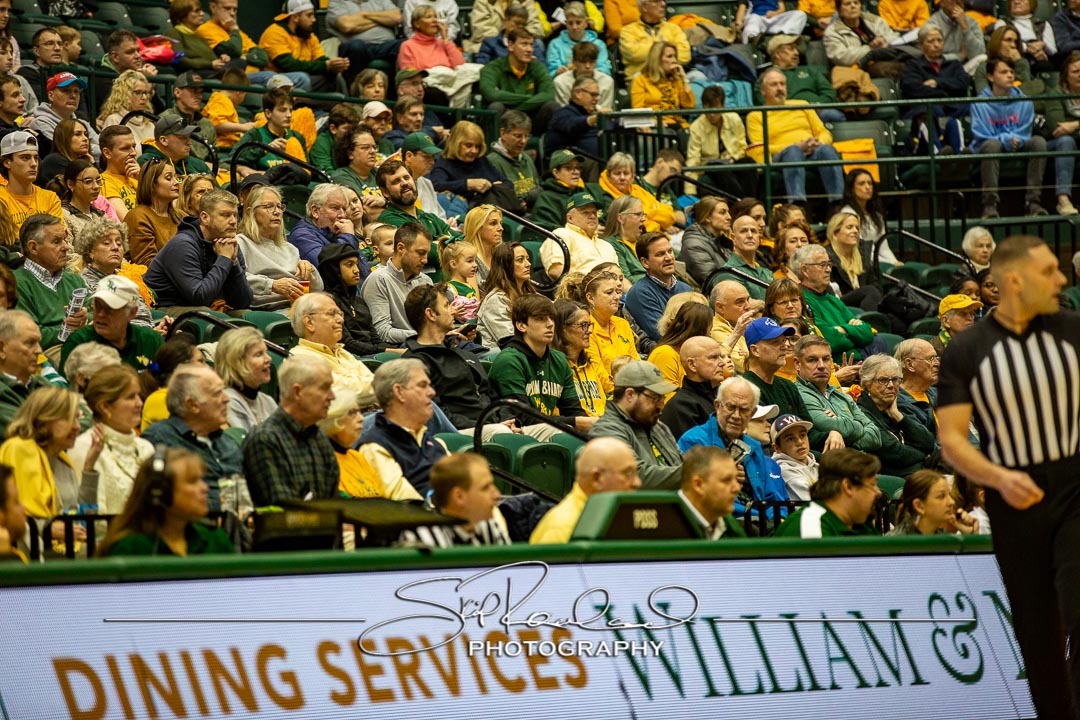 MBB Gold Rush – 2023 #115046