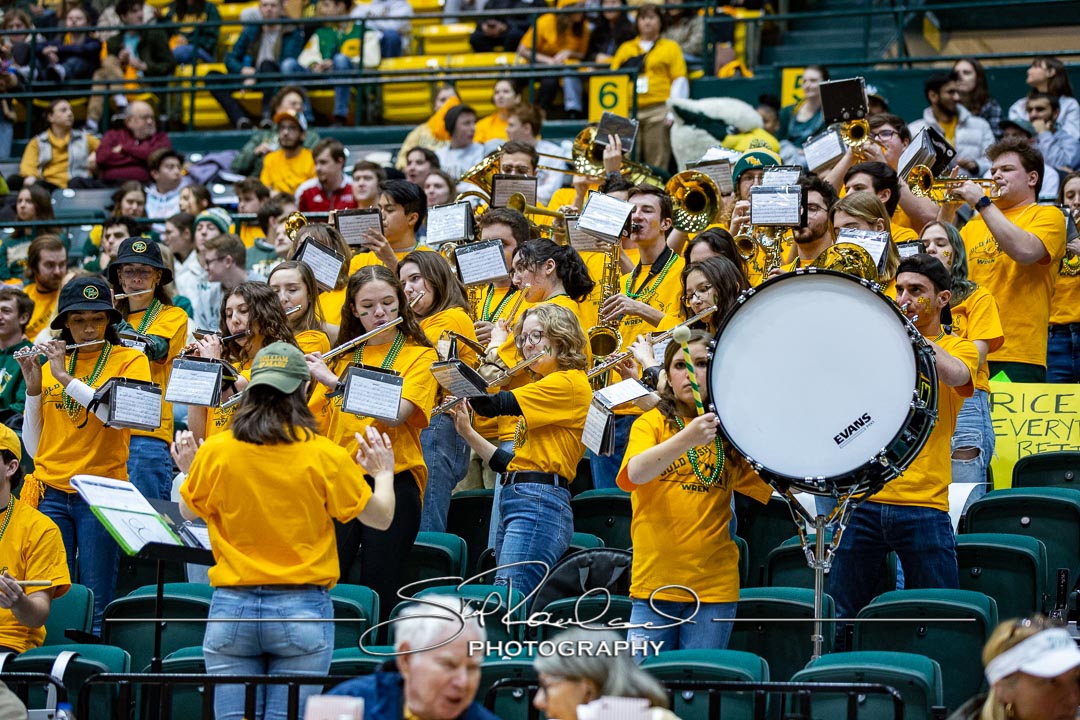 MBB Gold Rush – 2023 #115051