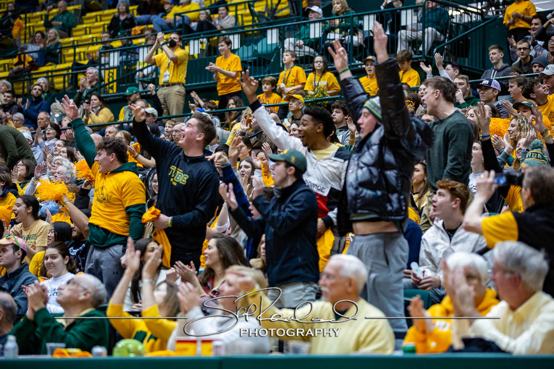 MBB Gold Rush – 2023 #115068