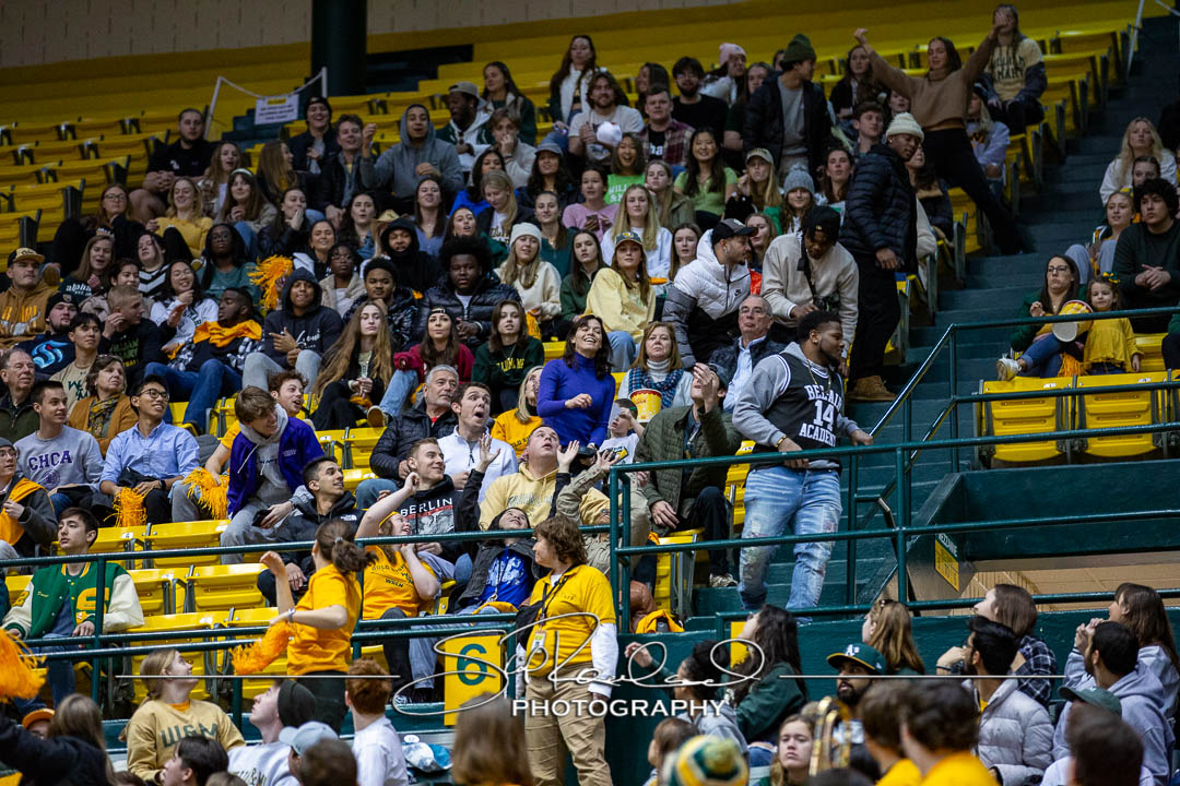 MBB Gold Rush – 2023 #115069
