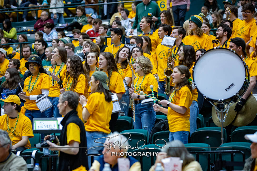 MBB Gold Rush – 2023 #115070