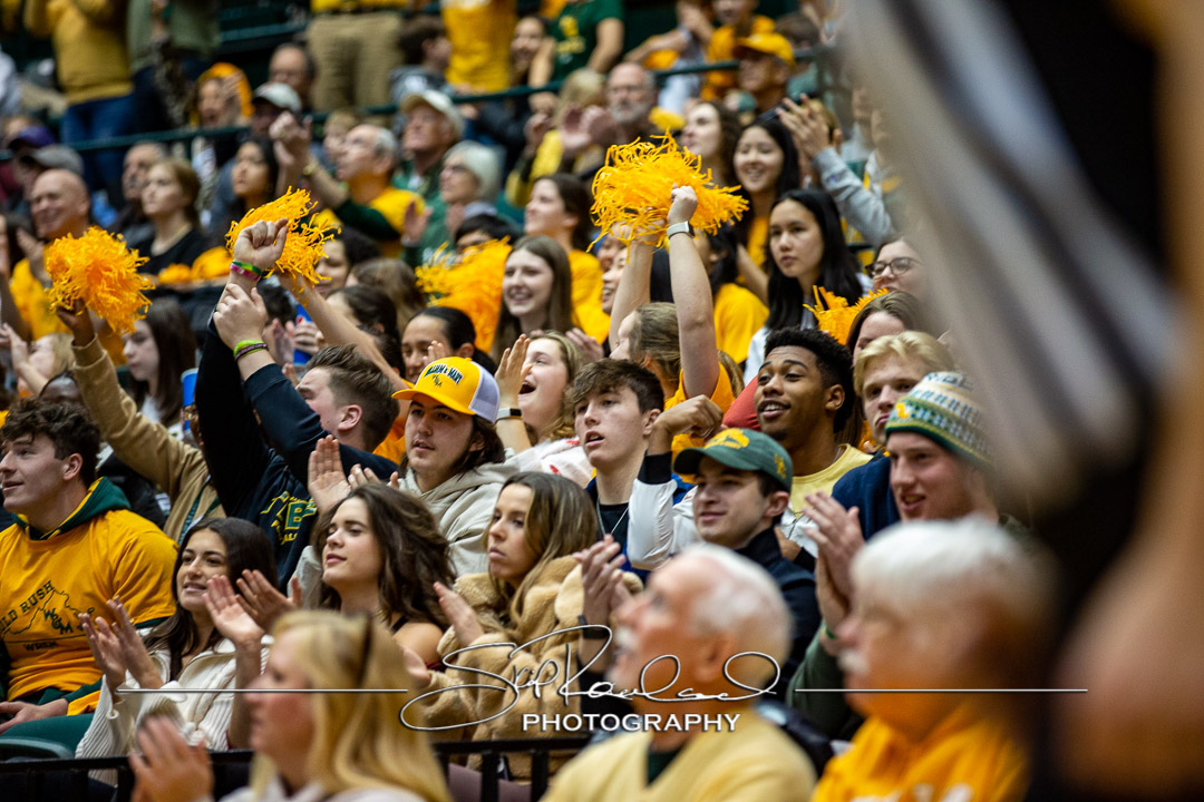 MBB Gold Rush – 2023 #115076