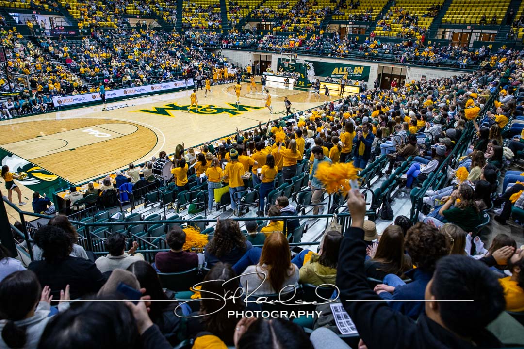 MBB Gold Rush – 2023 #115093