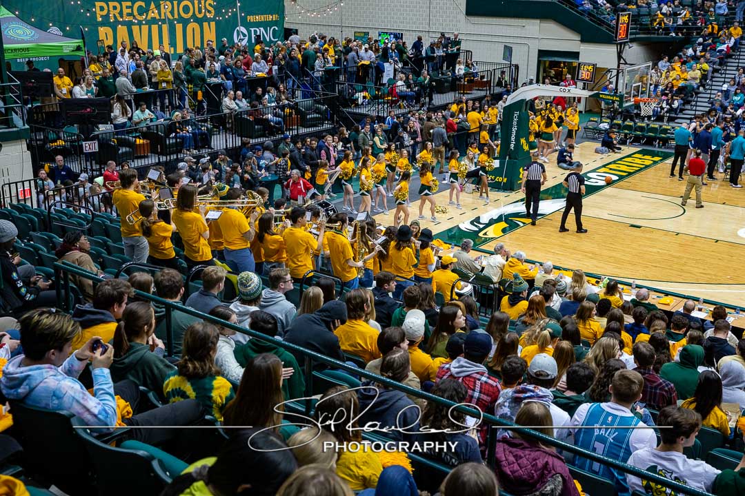 MBB Gold Rush – 2023 #115094