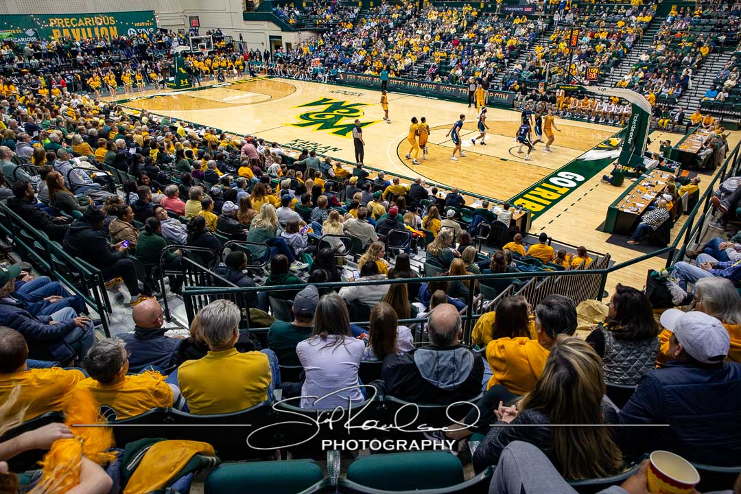 MBB Gold Rush – 2023 #115095
