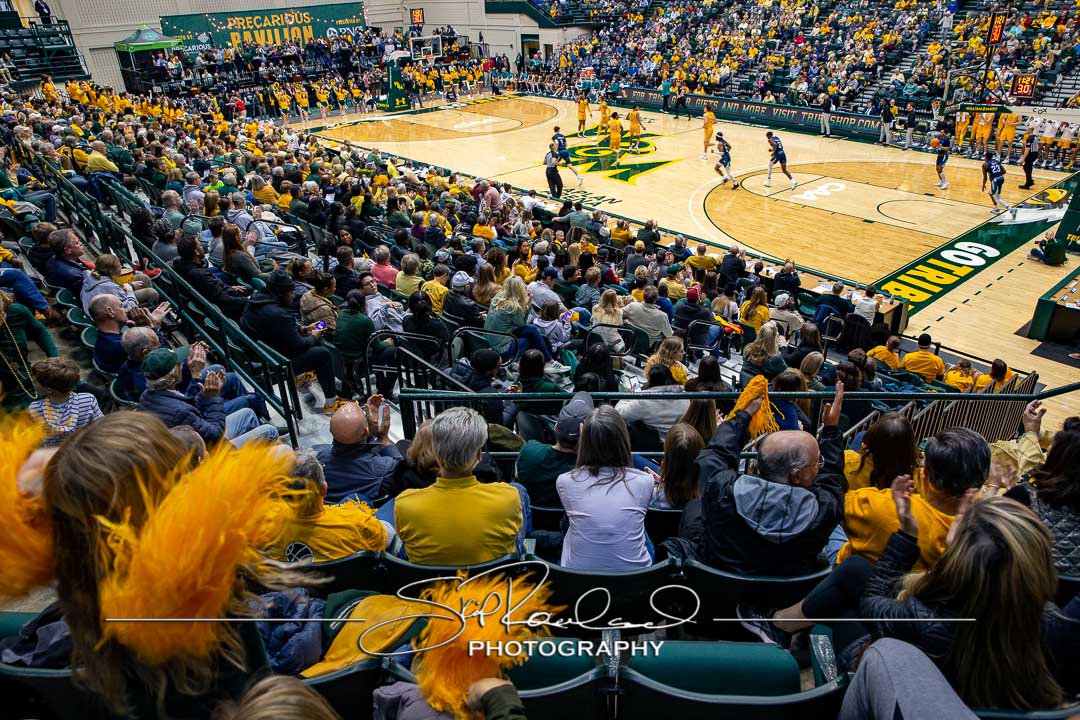 MBB Gold Rush – 2023 #115096