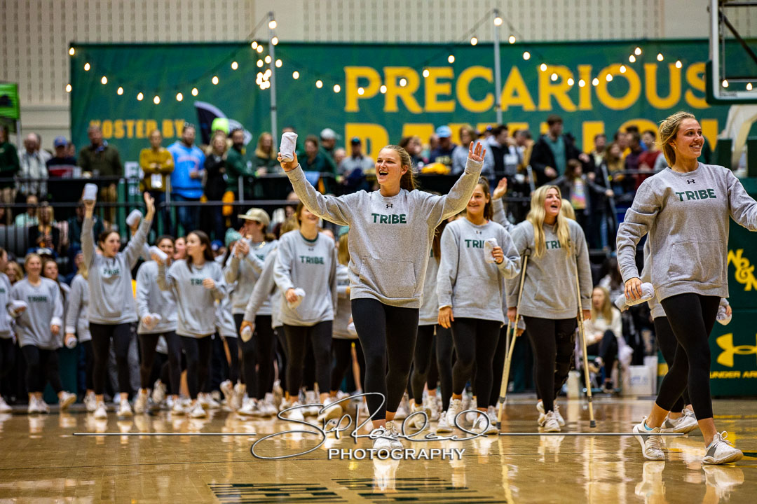 MBB Gold Rush – 2023 #115100