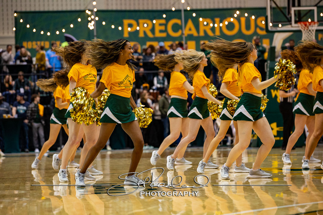 MBB Gold Rush – 2023 #115103