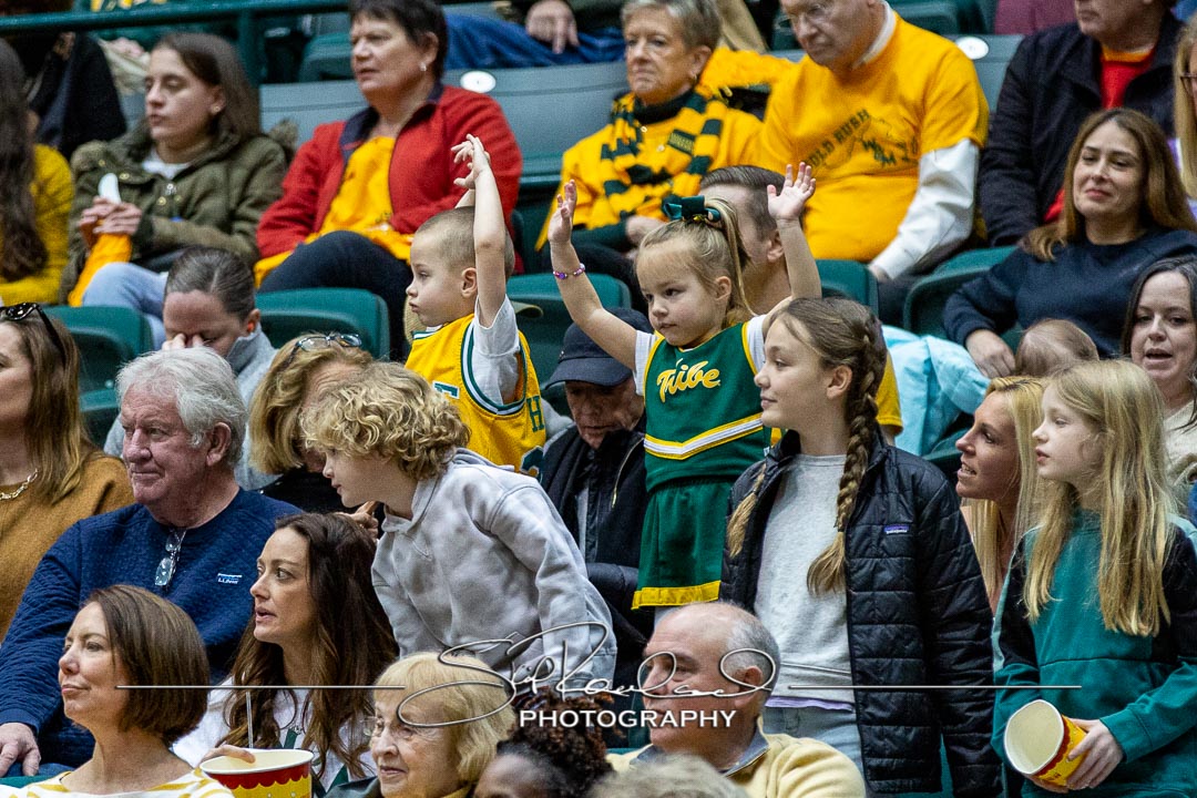 MBB Gold Rush – 2023 #115106