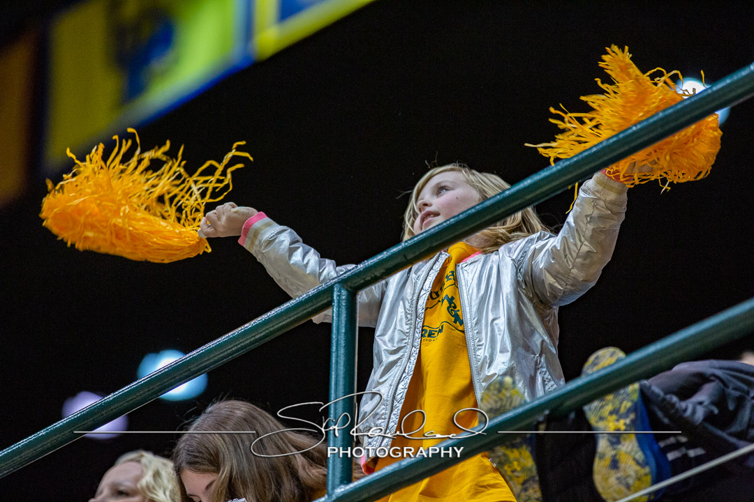 MBB Gold Rush – 2023 #115108