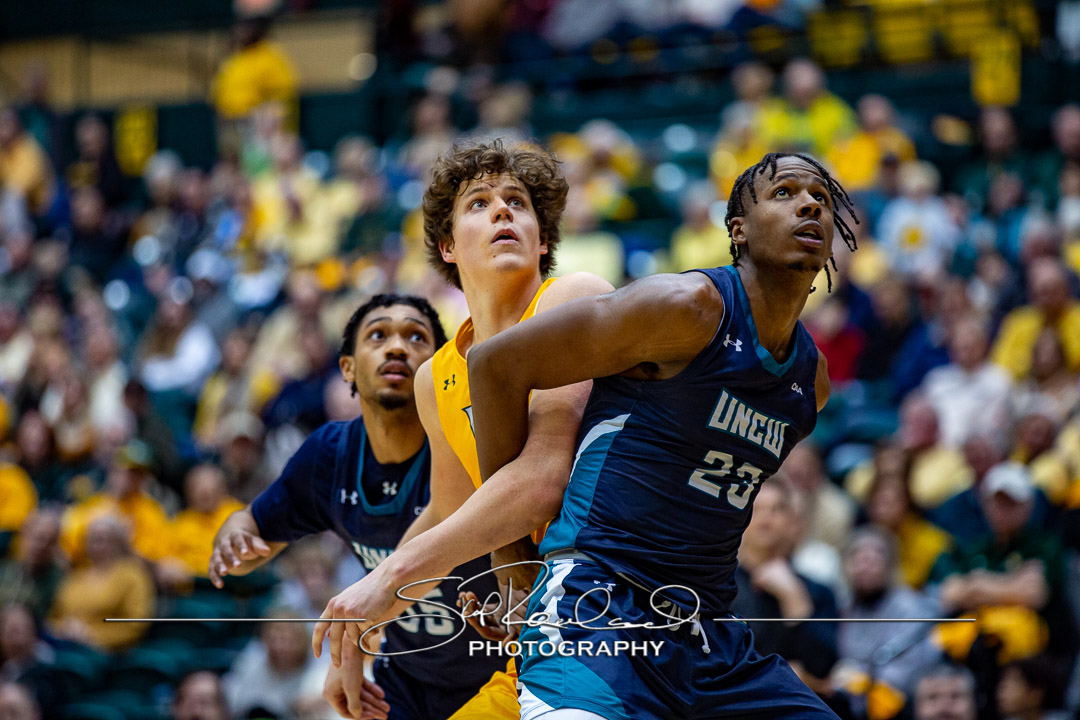MBB Gold Rush – 2023 #115109